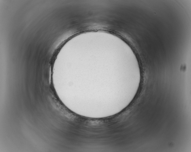 X0000112051219200909150955
