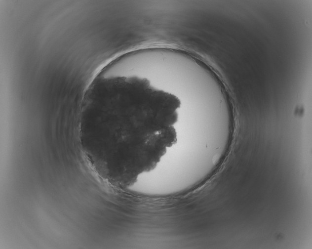 X0000112051220200909150955