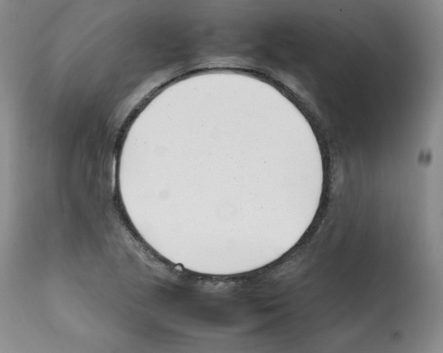 X0000112051221200909150955