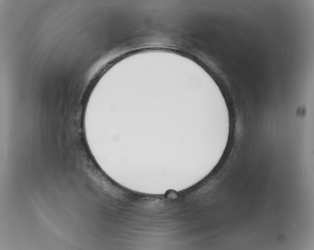 X0000112051222200909150955