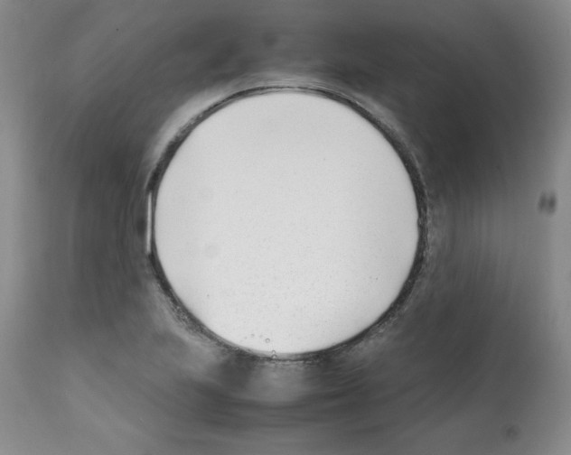 X0000112051223200909150955