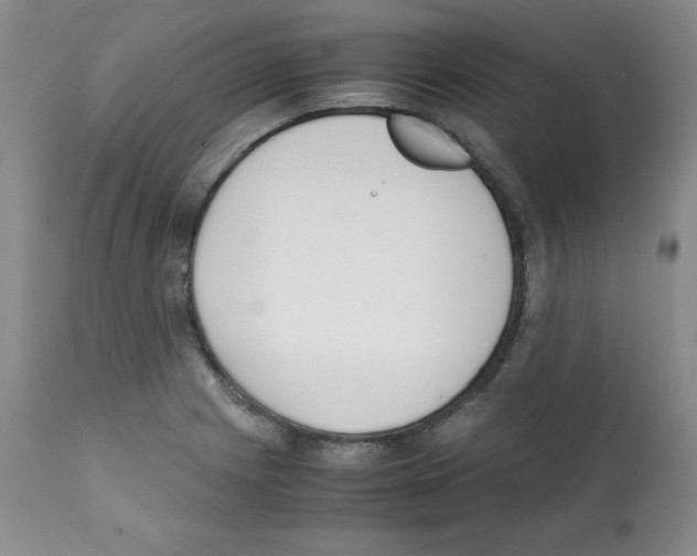 X0000112051225200909150955
