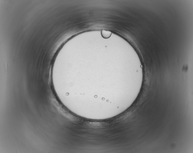 X0000112051227200909150955