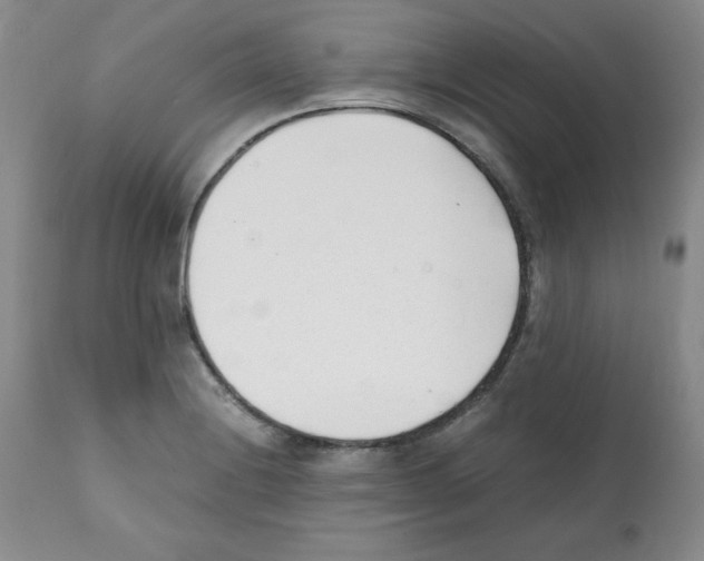 X0000112051228200909150955