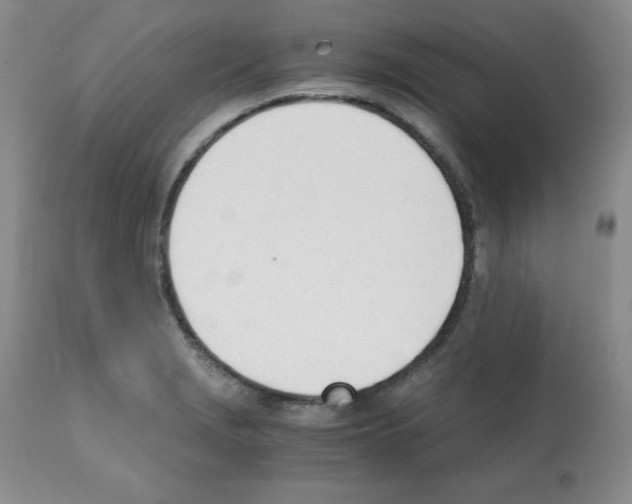 X0000112051229200909150955