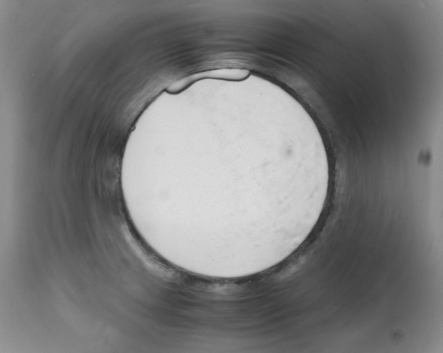 X0000112051233200909150955