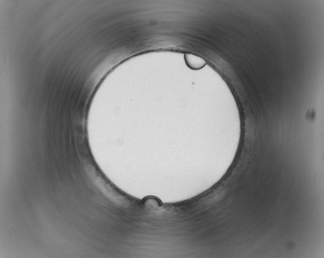 X0000112051234200909150955