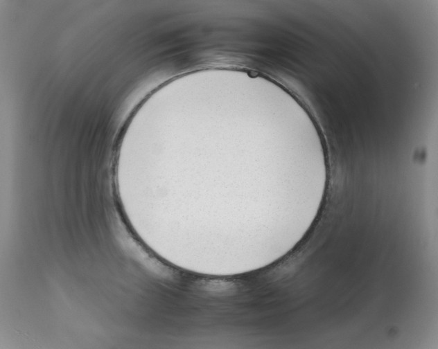 X0000112051235200909150955