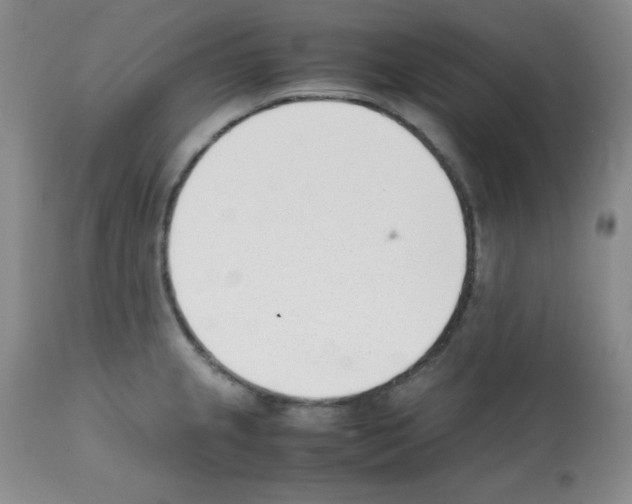 X0000112051237200909150955