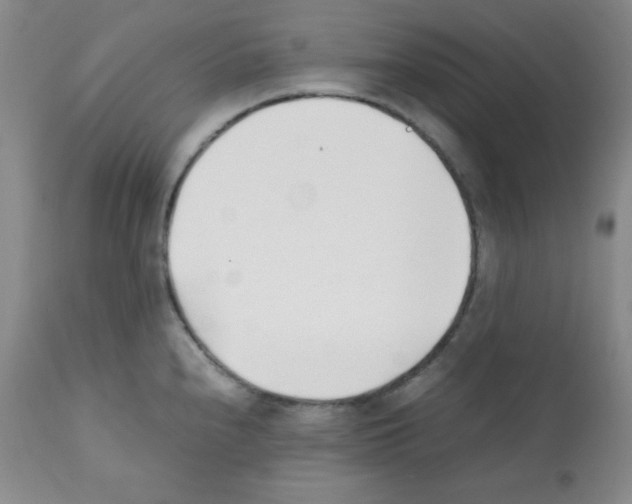 X0000112051240200909150955