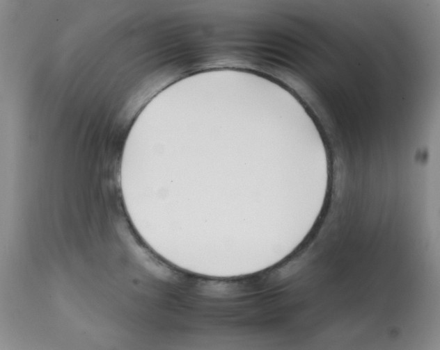 X0000112051241200909150955