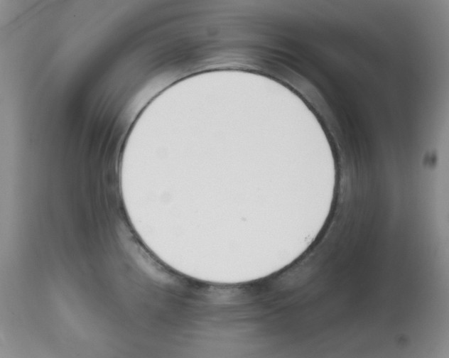 X0000112051242200909150955