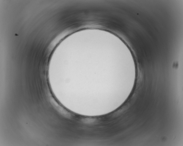 X0000112051245200909150955