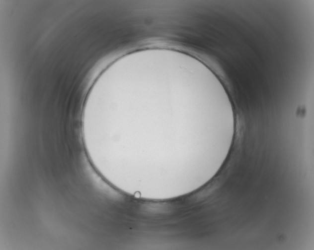 X0000112051247200909150955