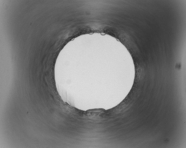 X0000112051249200909150955