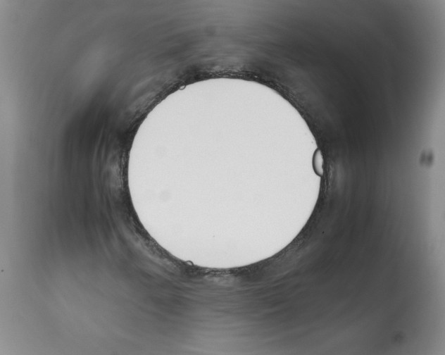 X0000112051250200909150955
