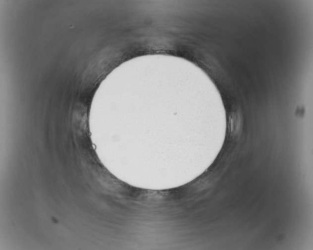 X0000112051251200909150954