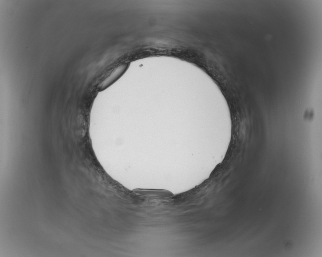 X0000112051253200909150954