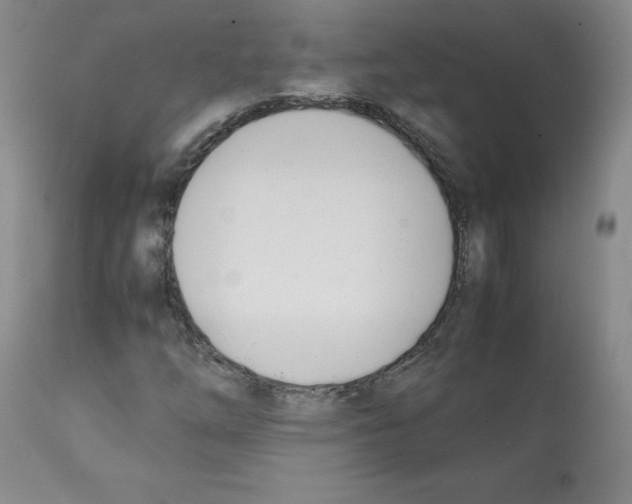 X0000112051254200909150954