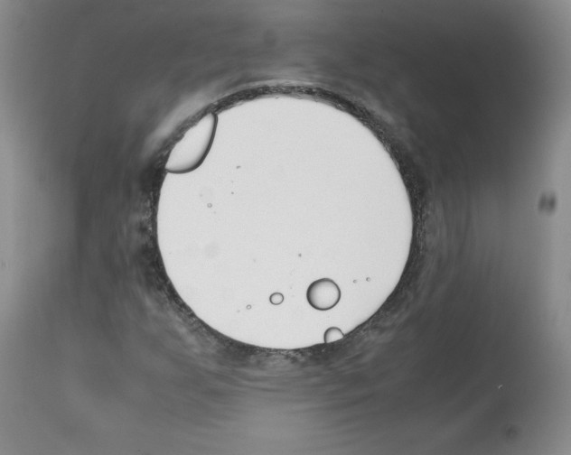 X0000112051255200909150954