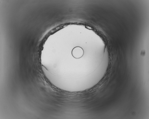 X0000112051256200909150954