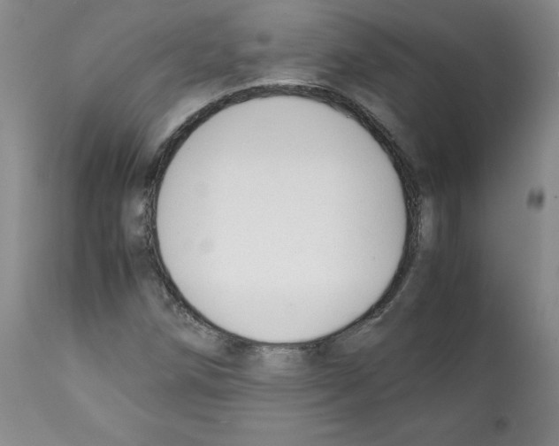 X0000112051258200909150954