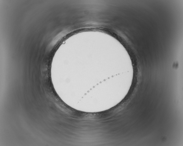 X0000112051259200909150954