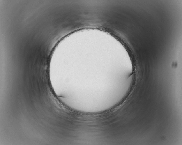 X0000112051260200909150954