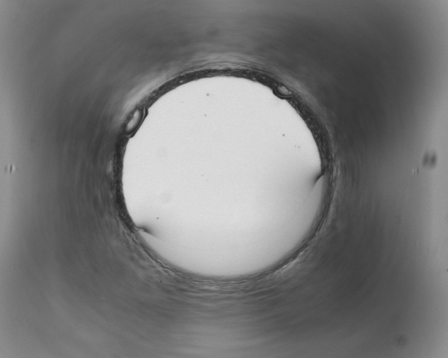 X0000112051261200909150954