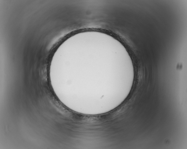 X0000112051262200909150954