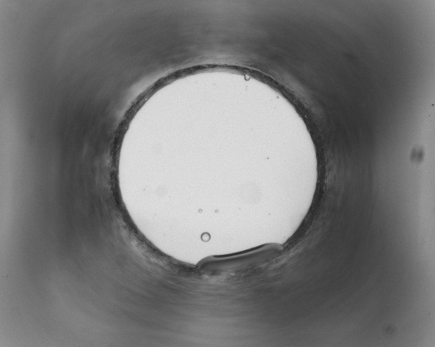 X0000112051264200909150954