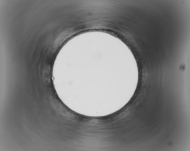 X0000112051265200909150954