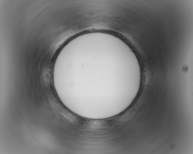 X0000112051266200909150954