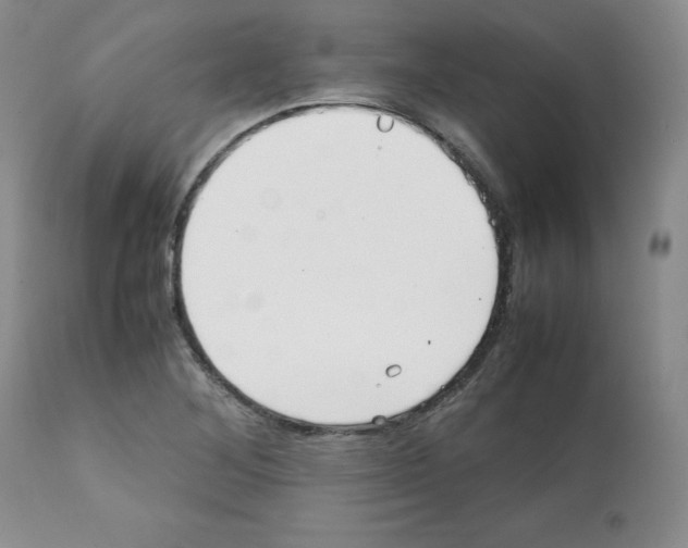 X0000112051268200909150954
