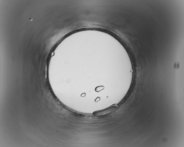 X0000112051269200909150954