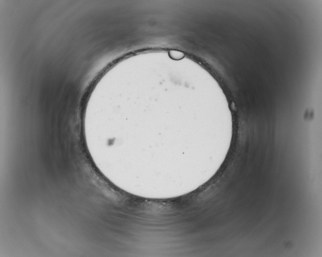 X0000112051270200909150954