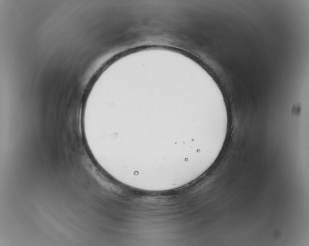 X0000112051272200909150954