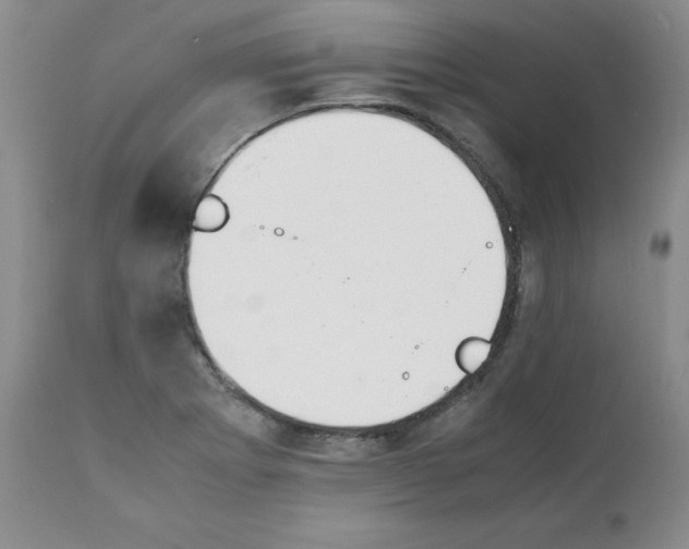 X0000112051273200909150954