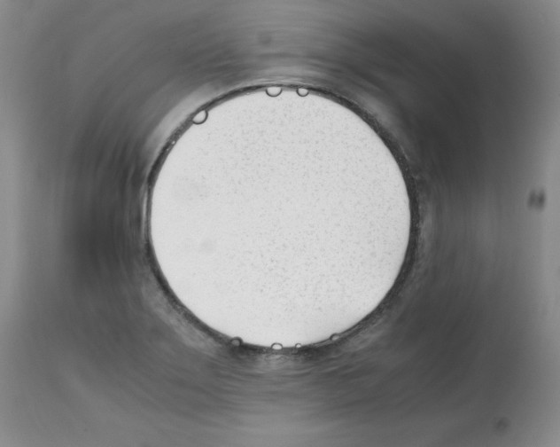 X0000112051275200909150954