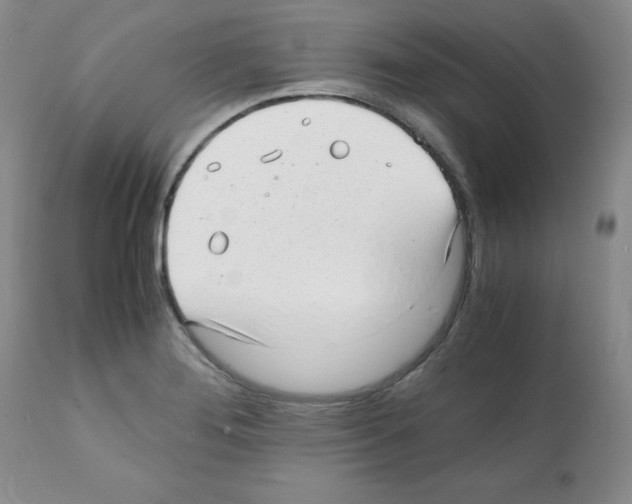 X0000112051276200909150954