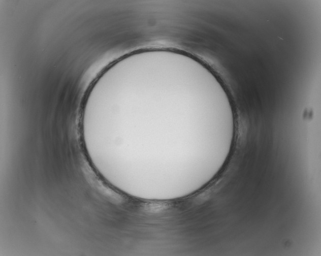 X0000112051278200909150954