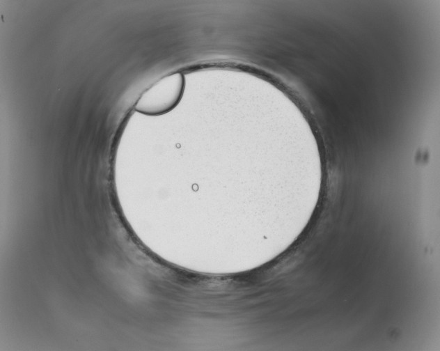 X0000112051279200909150954