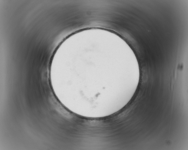 X0000112051280200909150954