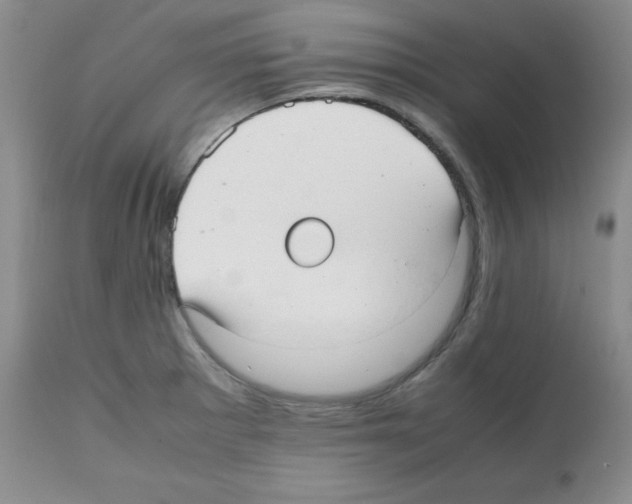 X0000112051281200909150954