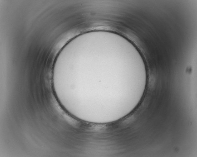 X0000112051282200909150954