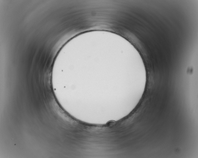 X0000112051284200909150954