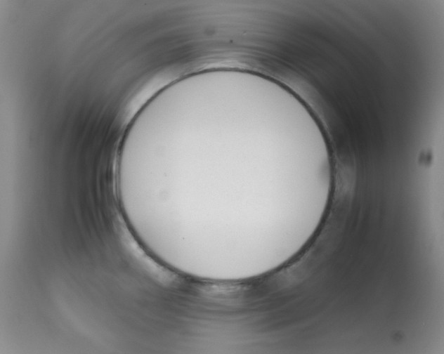 X0000112051290200909150954