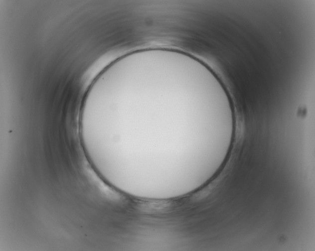 X0000112051294200909150954