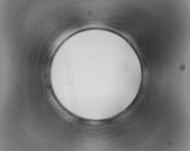 X0000112051295200909150954
