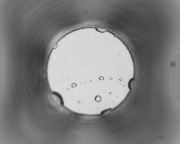 X0000112051296200909150954